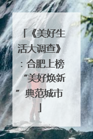 《美好生活大调查》：合肥上榜“美好焕新”典范城市