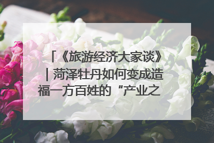 《旅游经济大家谈》｜菏泽牡丹如何变成造福一方百姓的“产业之花”“富民之花”？