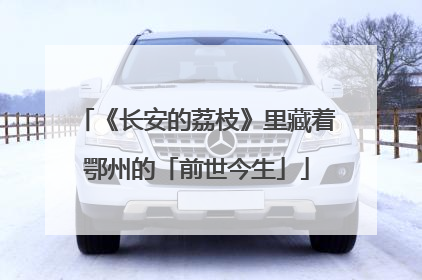 《长安的荔枝》里藏着鄂州的「前世今生」
