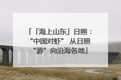 「海上山东」日照：“中国对虾” 从日照“游”向沿海各地