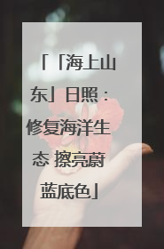 「海上山东」日照：修复海洋生态 擦亮蔚蓝底色