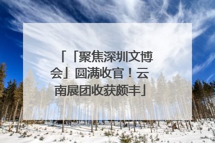 「聚焦深圳文博会」圆满收官！云南展团收获颇丰
