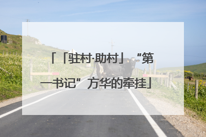 「驻村·助村」“第一书记”方华的牵挂