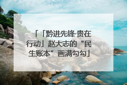 「黔进先锋·贵在行动」赵大志的“民生账本”画满勾勾