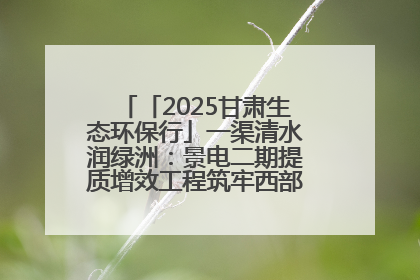 「2025甘肃生态环保行」一渠清水润绿洲：景电二期提质增效工程筑牢西部生态安全屏障