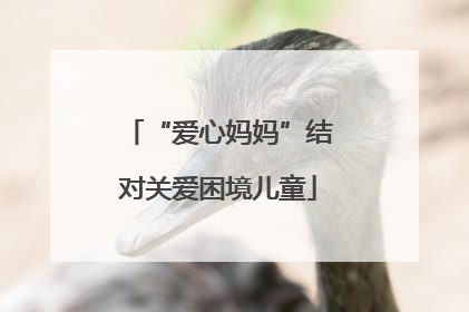 “爱心妈妈”结对关爱困境儿童