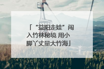 “益阳走娃”闯入竹林秘境 用小脚丫丈量大竹海