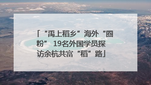 “禹上稻乡”海外“圈粉” 19名外国学员探访余杭共富“稻”路