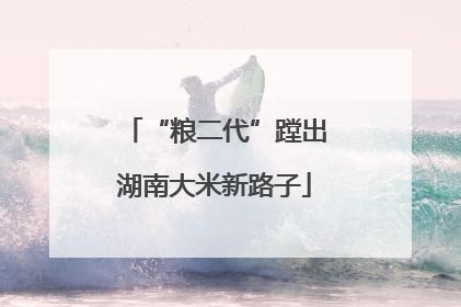“粮二代”蹚出湖南大米新路子