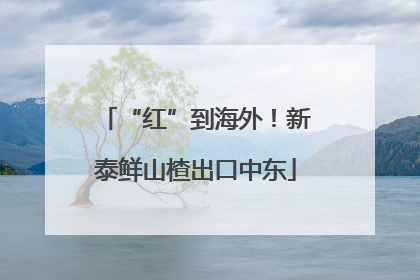 “红”到海外！新泰鲜山楂出口中东