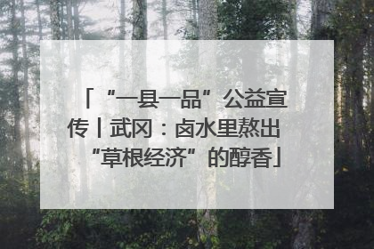 “一县一品”公益宣传丨武冈：卤水里熬出“草根经济”的醇香