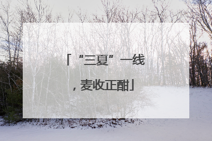 “三夏”一线，麦收正酣
