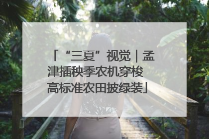 “三夏”视觉｜孟津插秧季农机穿梭 高标准农田披绿装