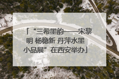 “三希墨韵——宋黎明 杨稳新 丹萍水墨小品展”在西安举办