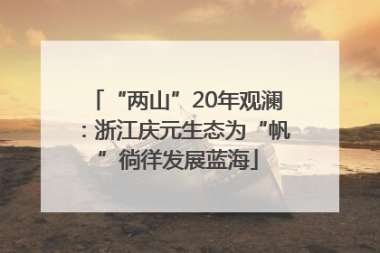“两山”20年观澜：浙江庆元生态为“帆”徜徉发展蓝海
