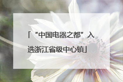 “中国电器之都”入选浙江省级中心镇