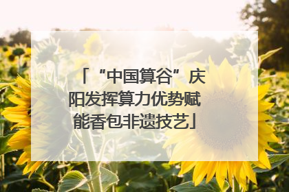 “中国算谷”庆阳发挥算力优势赋能香包非遗技艺