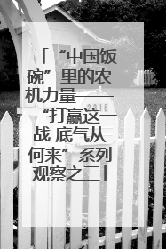 “中国饭碗”里的农机力量——“打赢这一战 底气从何来”系列观察之三