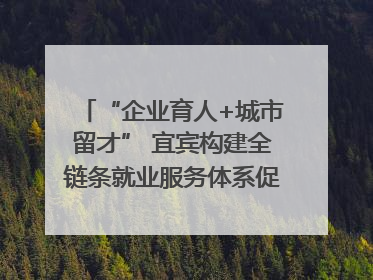 “企业育人+城市留才” 宜宾构建全链条就业服务体系促高校毕业生就业｜您牵挂的四川