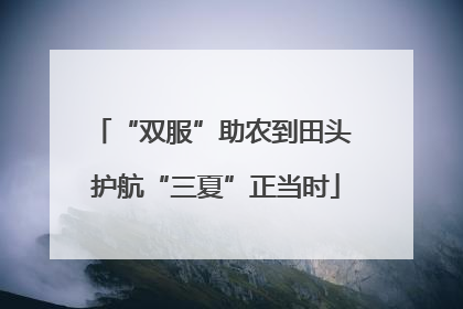 “双服”助农到田头 护航“三夏”正当时