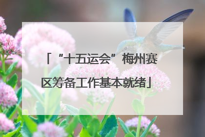 “十五运会”梅州赛区筹备工作基本就绪