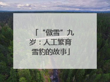 “傲雪”九岁：人工繁育雪豹的故事