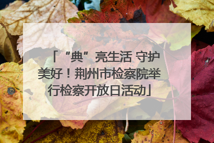 “典”亮生活 守护美好！荆州市检察院举行检察开放日活动