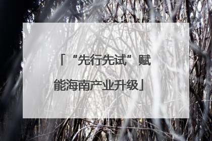 “先行先试”赋能海南产业升级