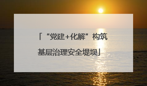 “党建+化解”构筑基层治理安全堤坝