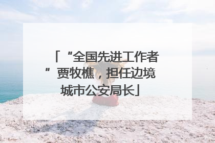 “全国先进工作者”贾牧樵，担任边境城市公安局长