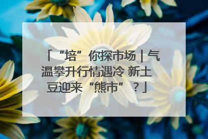 “培”你探市场｜气温攀升行情遇冷 新土豆迎来“熊市”？