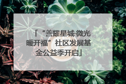 “善耀星城·微光暖开福”社区发展基金公益季开启