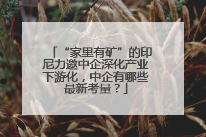 “家里有矿”的印尼力邀中企深化产业下游化，中企有哪些最新考量？