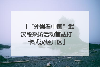 “外媒看中国”武汉段采访活动首站打卡武汉经开区
