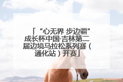 “心无界 步边疆”成长杯中国·吉林第二届边境马拉松系列赛（通化站）开赛