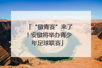 “徽青赛”来了！安徽将举办青少年足球联赛