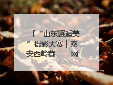 “山东邂逅美”摄影大赛｜泰安西岭巷——网红打卡新地标