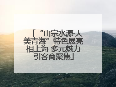 “山宗水源·大美青海”特色展亮相上海 多元魅力引客商聚焦