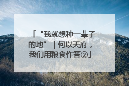 “我就想种一辈子的地”｜何以天府，我们用粮食作答②