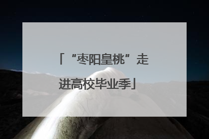 “枣阳皇桃”走进高校毕业季
