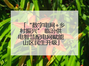 “数字电网+乡村振兴” 临汾供电智慧配电网赋能山区民生升级