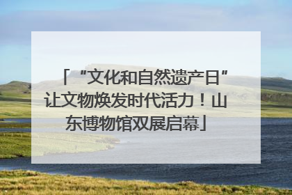 “文化和自然遗产日”让文物焕发时代活力！山东博物馆双展启幕