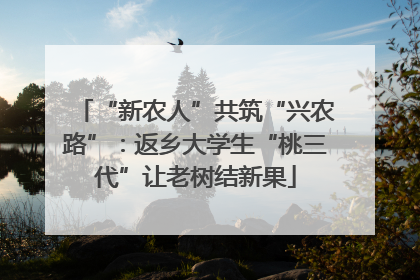“新农人”共筑“兴农路”：返乡大学生“桃三代”让老树结新果