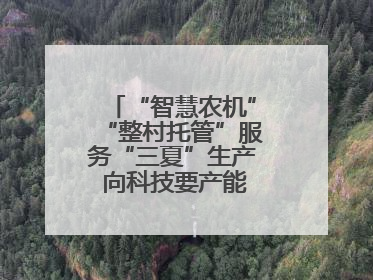 “智慧农机”“整村托管”服务“三夏”生产 向科技要产能筑牢丰产基础
