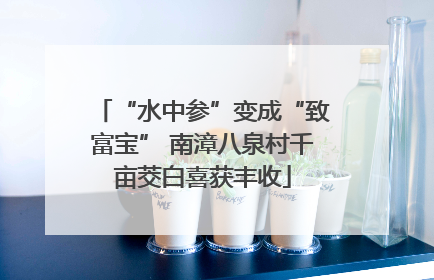 “水中参”变成“致富宝” 南漳八泉村千亩茭白喜获丰收