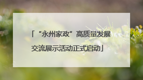 “永州家政”高质量发展交流展示活动正式启动
