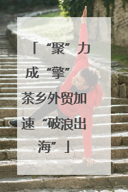 “聚”力成“擎” 茶乡外贸加速“破浪出海”
