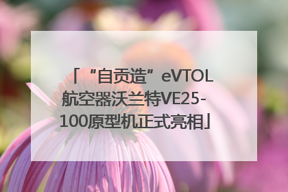 “自贡造”eVTOL航空器沃兰特VE25-100原型机正式亮相