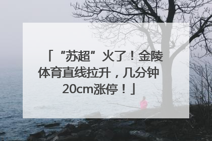“苏超”火了！金陵体育直线拉升，几分钟20cm涨停！