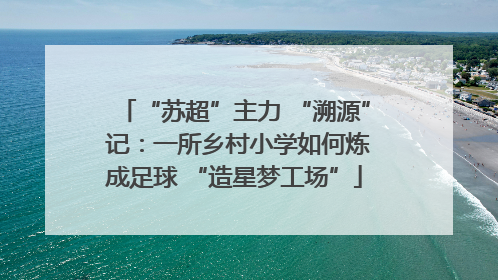 “苏超”主力 “溯源” 记：一所乡村小学如何炼成足球 “造星梦工场”